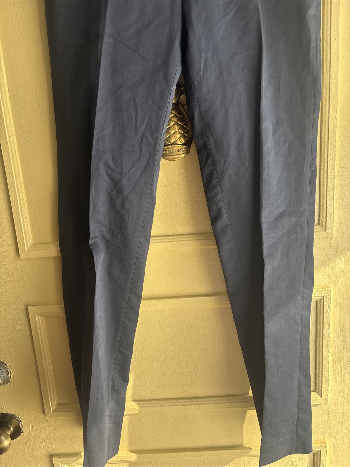 Sandro Men’s E15 Notch silk Blue Size 40 Pants NWT